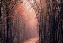 26款比亚迪宋Pro DM长续航版上市纯电续航增至220km