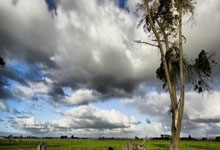 6.98万元起的它 会是年轻人的第一台纯电小车吗？