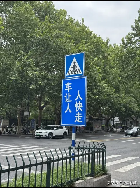 2026礼让行人要调整？专家戳中车主痛点，这次举双手赞成